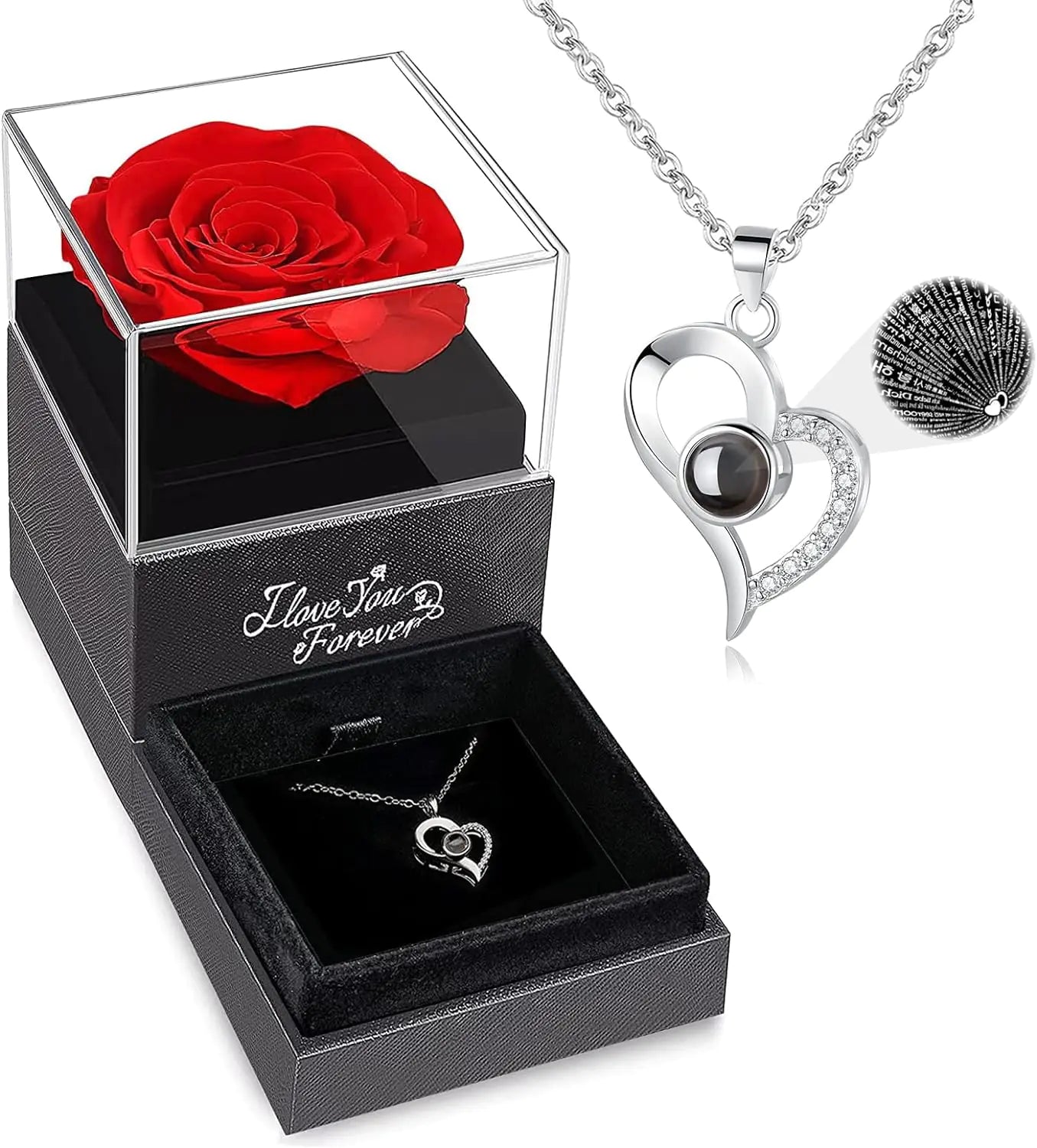 Preserved Real Rose, Necklace: I Love You in 100 Languages Gift