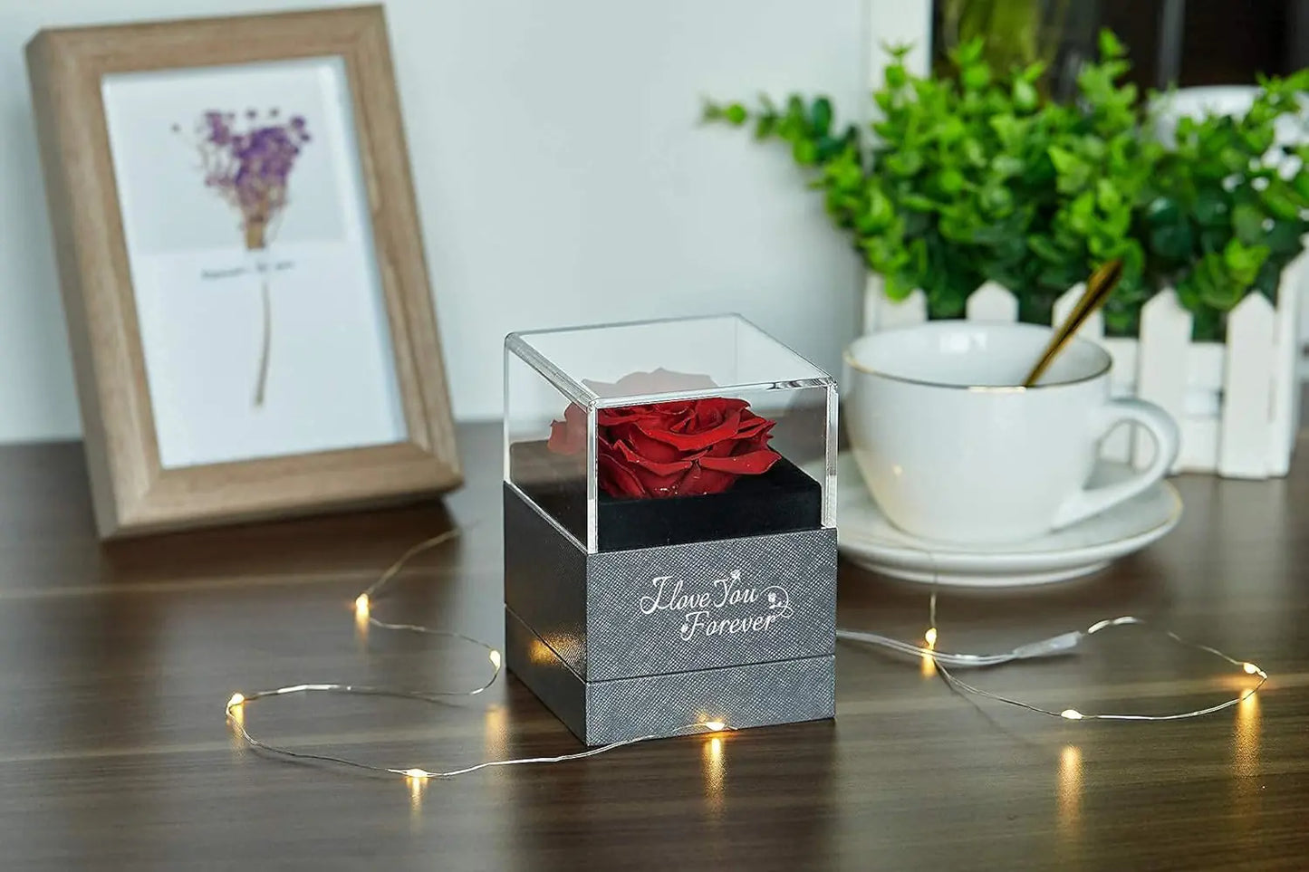 Preserved Real Rose, Necklace: I Love You in 100 Languages Gift