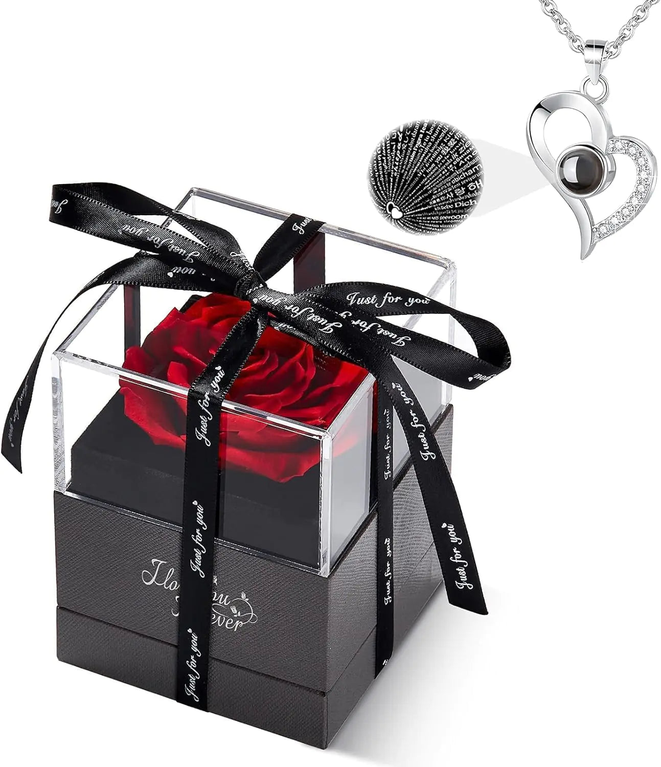 Preserved Real Rose, Necklace: I Love You in 100 Languages Gift