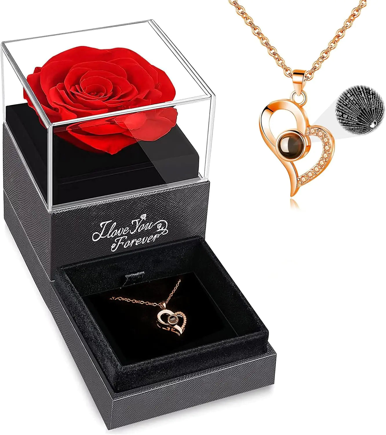 Preserved Real Rose, Necklace: I Love You in 100 Languages Gift